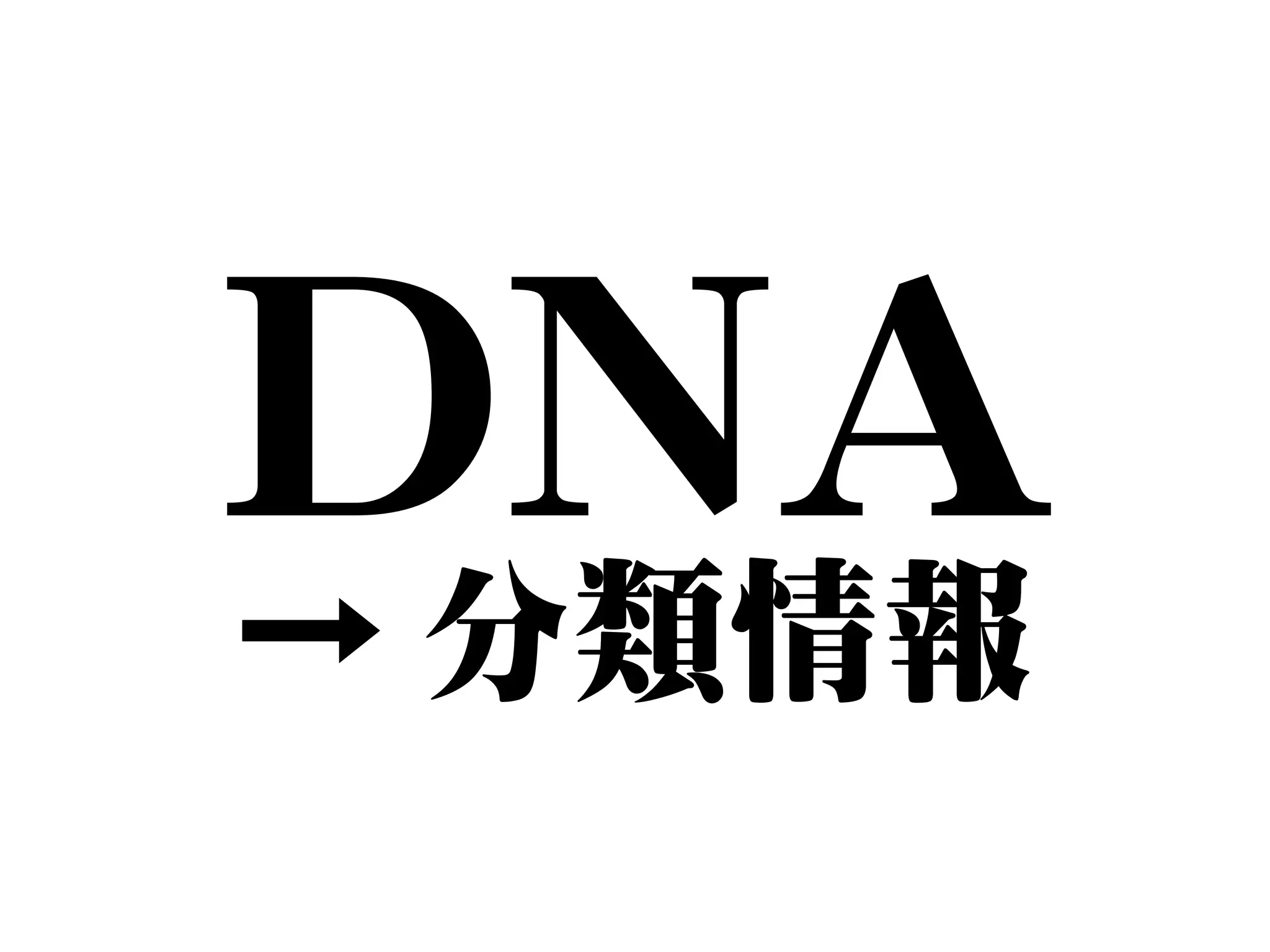 DNA 
→分類情報 
 