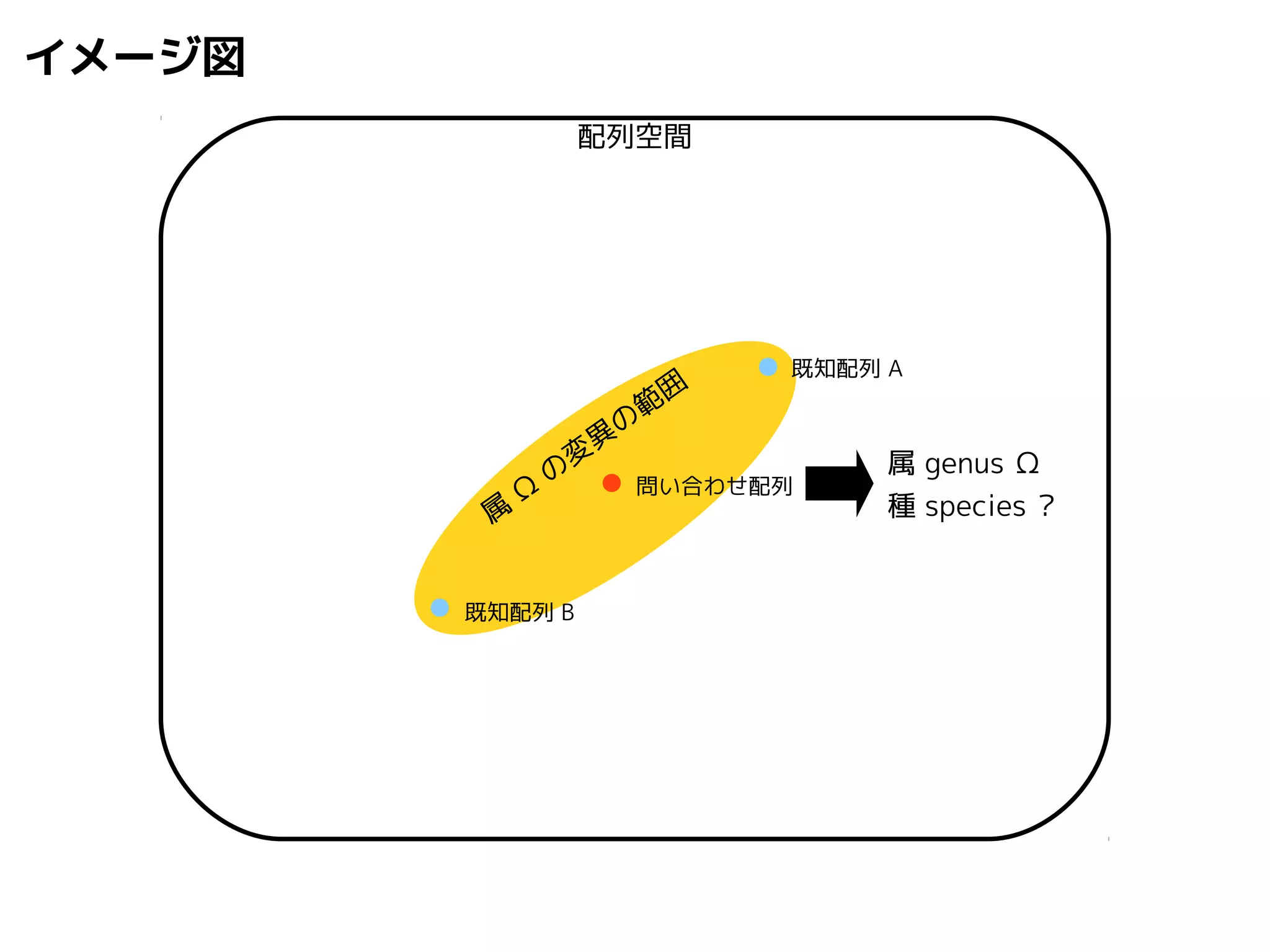イメージ図 
属Ω の変異の範囲 
既知配列B 
既知配列A 
問い合わせ配列 
属genus Ω 
種species ? 
配列空間 
 