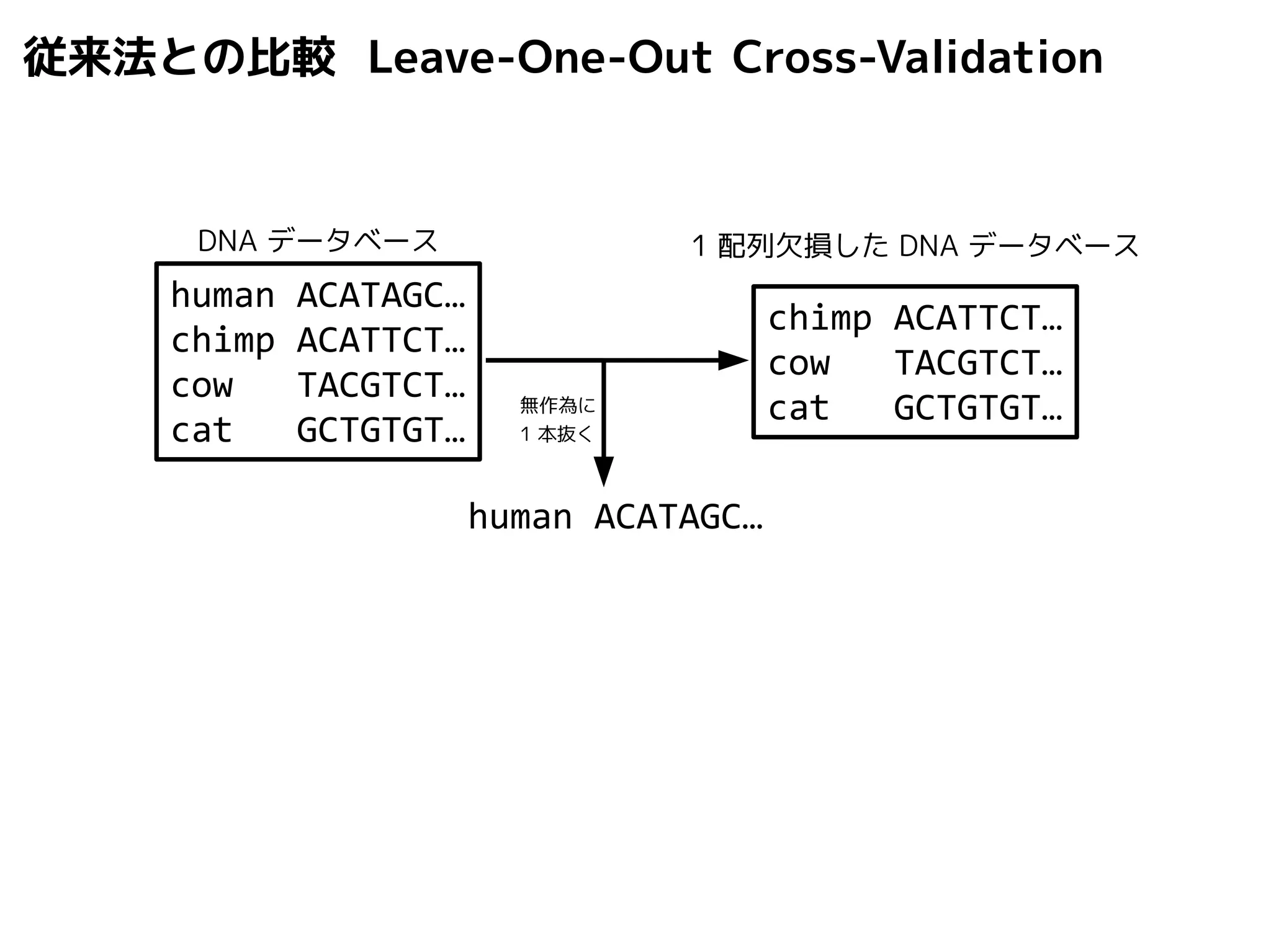 従来法との比較 Leave-One-Out Cross-Validation 
DNA データベース1 配列欠損したDNA データベース 
無作為に 
1 本抜く 
human ACATAGC… 
human ACATAGC… 
chimp ACATTCT… 
cow TACGTCT… 
cat GCTGTGT… 
chimp ACATTCT… 
cow TACGTCT… 
cat GCTGTGT… 
 
