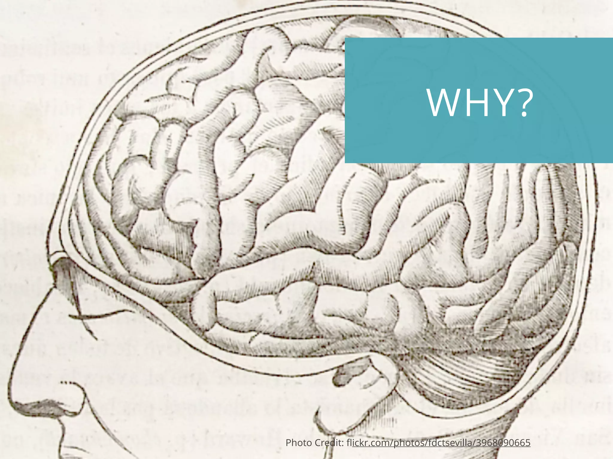 WHY?
Photo Credit: flickr.com/photos/fdctsevilla/3968090665