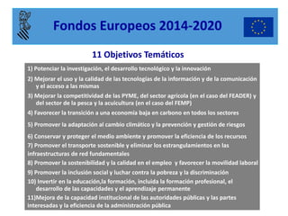 Fondos Europeos 2014-2020 
1) Potenciar la investigación, el desarrollo tecnológico y la innovación 
2) Mejorar el uso y la calidad de las tecnologías de la información y de la comunicación y el acceso a las mismas 
3) Mejorar la competitividad de las PYME, del sector agrícola (en el caso del FEADER) y del sector de la pesca y la acuicultura (en el caso del FEMP) 
4) Favorecer la transición a una economía baja en carbono en todos los sectores 
5) Promover la adaptación al cambio climático y la prevención y gestión de riesgos 
6) Conservar y proteger el medio ambiente y promover la eficiencia de los recursos 
7) Promover el transporte sostenible y eliminar los estrangulamientos en las 
infraestructuras de red fundamentales 
8) Promover la sostenibilidad y la calidad en el empleo y favorecer la movilidad laboral 
9) Promover la inclusión social y luchar contra la pobreza y la discriminación 
10) Invertir en la educación,la formación, incluida la formación profesional, el desarrollo de las capacidades y el aprendizaje permanente 
11)Mejora de la capacidad institucional de las autoridades públicas y las partes interesadas y la eficiencia de la administración pública 
11 Objetivos Temáticos  