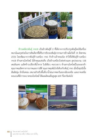 44 วิทยาศาสตร์ เทคโนโลยี
และนวัตกรรม เพื่อการพัฒนาอย่างยั่งยืน
ข้าวเหนียวพันธุ์ กข18 เป็นข้าวพันธุ์ที่ 2 ที่ได้จากการปรับปรุงพันธุ์โดยใช้เครื่อง
หมายโมเลกุลช่วยในการคัดเลือกที่ได้รับการรับรองพันธุ์จากกรมการข้าวเมื่อวันที่ 19 สิงหาคม
2556 โดยพัฒนาจากพันธุ์ข้าวเหนียว กข6 กับข้าวเจ้าหอมนิล ทำให้ได้พันธุ์ข้าวเหนียว
กข18 ต้านทานโรคไหม้ มีลักษณะเด่นคือ เป็นข้าวเหนียวไวต่อช่วงแสง สูงประมาณ 158
เซนติเมตร เมล็ดข้าวเปลือกสีน้ำตาล ใบสีเขียว คอรวงยาว ต้านทานโรคไหม้ในระยะกล้า
คุณภาพเมล็ดทางกายภาพและการสีดี คุณภาพหุงต้มใกล้เคียงกับพันธุ์ กข6 เมื่อนึ่งสุกมีเนื้อ
สัมผัสนุ่ม มีกลิ่นหอม เหมาะสำหรับพื้นที่นาน้ำฝนภาคตะวันออกเฉียงเหนือ และภาคเหนือ
ตอนบนที่มีการระบาดของโรคไหม้ ให้ผลผลิตเฉลี่ยสูงสุด 609 กิโลกรัมต่อไร่
 