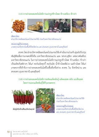 52 วิทยาศาสตร์ เทคโนโลยี
และนวัตกรรม เพื่อการพัฒนาอย่างยั่งยืน
(13)	การถ่ายทอดเทคโนโลยีการแปรรูปข้าวโพด ข้าวเหนียว ข้าวก่า
พัฒนาโดย:
ฝ่ายบริหารคลัสเตอร์และโปรแกรมวิจัย ร่วมกับมหาวิทยาลัยขอนแก่น
หน่วยงานผู้รับถ่ายทอด:
เกษตรกรเครือข่ายในพื้นที่จังหวัดน่าน เลย สกลนคร อุบลราชธานี และสุรินทร์
สวทช.โดยฝ่ายบริหารคลัสเตอร์และโปรแกรมวิจัยดำเนินงานร่วมกับศูนย์ปรับปรุง
พันธุ์พืชเพื่อการเกษตรที่ยั่งยืน มหาวิทยาลัยขอนแก่น และ รศ.ดร.สุชีลา เตชะวงศ์เสถียร
มหาวิทยาลัยขอนแก่น ในการถ่ายทอดเทคโนโลยีการแปรรูปข้าวโพด ข้าวเหนียว ข้าวก่า
เป็นผลิตภันฑ์ต่างๆ ได้แก่ คอร์นนัทคุกกี้ คอร์นนัท น้ำข้าวโพดสีม่วง นมข้าวโพด ให้แก่
เกษตรกรที่เข้ารับการถ่ายทอดเทคโนโลยีในพื้นที่เครือข่าย สวทช. ใน จังหวัดน่าน เลย
สกลนคร อุบลราชธานี และสุรินทร์
(14)	การถ่ายทอดเทคโนโลยีการผลิตเมล็ดพันธุ์ ผลิตผลสด พริก มะเขือเทศ
โดยการแจกเมล็ดพันธุ์ให้กับเกษตรกร
พัฒนาโดย:
ฝ่ายบริหารคลัสเตอร์และโปรแกรมวิจัย
ร่วมกับมหาวิทยาลัยขอนแก่น
หน่วยงานผู้รับถ่ายทอด:
เกษตรกรเครือข่ายในพื้นที่จังหวัดน่าน
เลย สกลนคร อุบลราชธานี และสุรินทร์
 