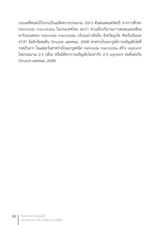 98 วิทยาศาสตร์ เทคโนโลยี
และนวัตกรรม เพื่อการพัฒนาอย่างยั่งยืน
บอเนตที่สะสมไว้กลายเป็นเมล็ดทรายประมาณ 109.5 ตันต่อเฮคแตร์ต่อปี จากการศึกษา
Halimeda macroloba ในประเทศไทย พบว่า ค่าเฉลี่ยปริมาณการสะสมแคลเซียม
คาร์บอเนตของ Halimeda macroloba บริเวณอ่าวตังเข็น จังหวัดภูเก็ต คิดเป็นร้อยละ
67.87 มิลลิกรัมต่อต้น (Sinutok และคณะ, 2008) สาหร่ายใบมะกรูดมีการเจริญเติบโตที่
รวดเร็วมาก ในแต่ละวันสาหร่ายใบมะกรูดชนิด Halimeda macroloba สร้าง segment
ใหม่ประมาณ 2-3 ปล้อง หรือมีอัตราการเจริญเติบโตเท่ากับ 2-3 segment ต่อต้นต่อวัน
(Sinutok และคณะ, 2008)
 