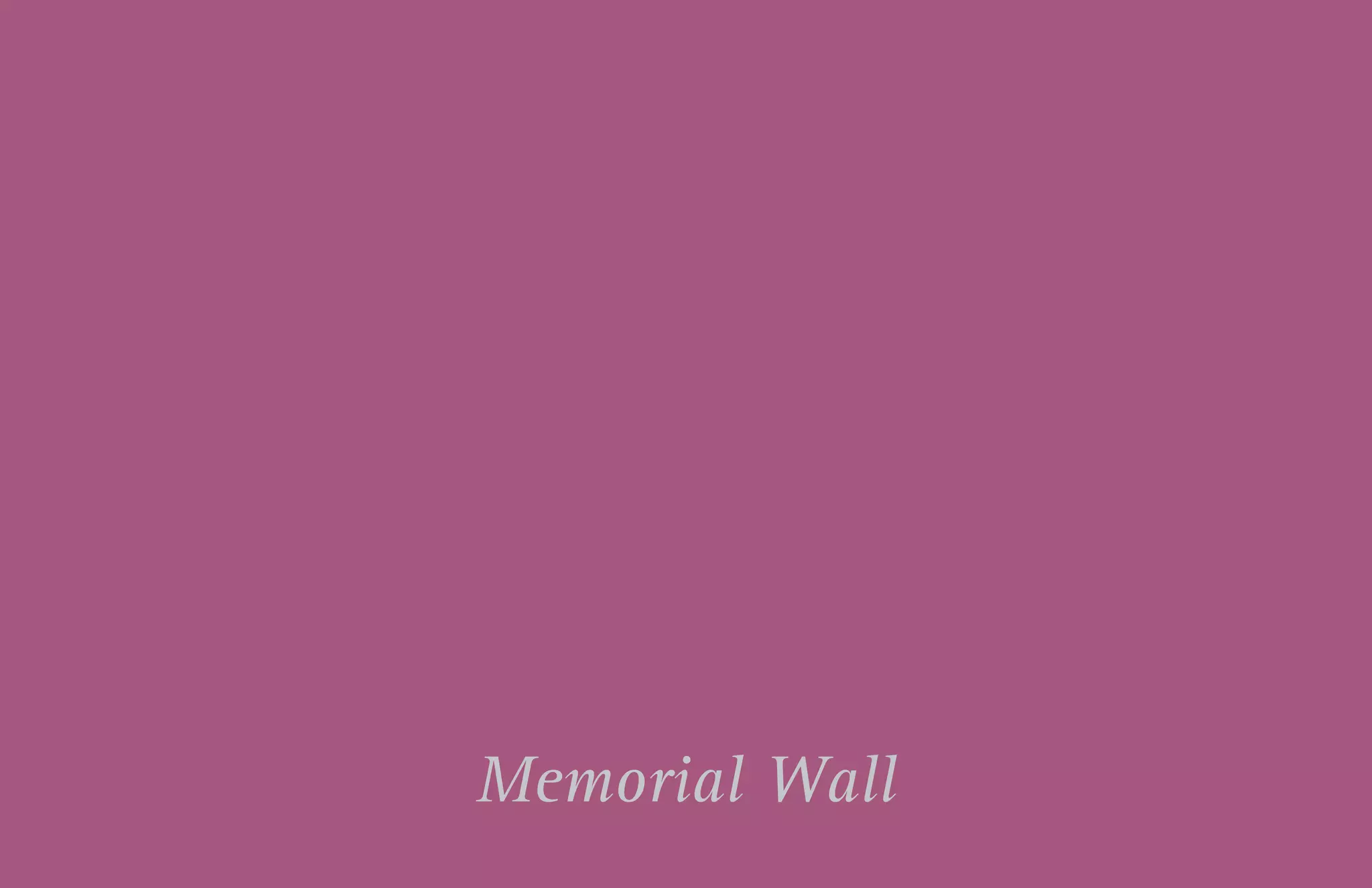 Chuck Brown Memorial Park - 04.17.2014 Page 16Chuck Brown Memorial Park - 01.30.2014
Memorial Wall
 