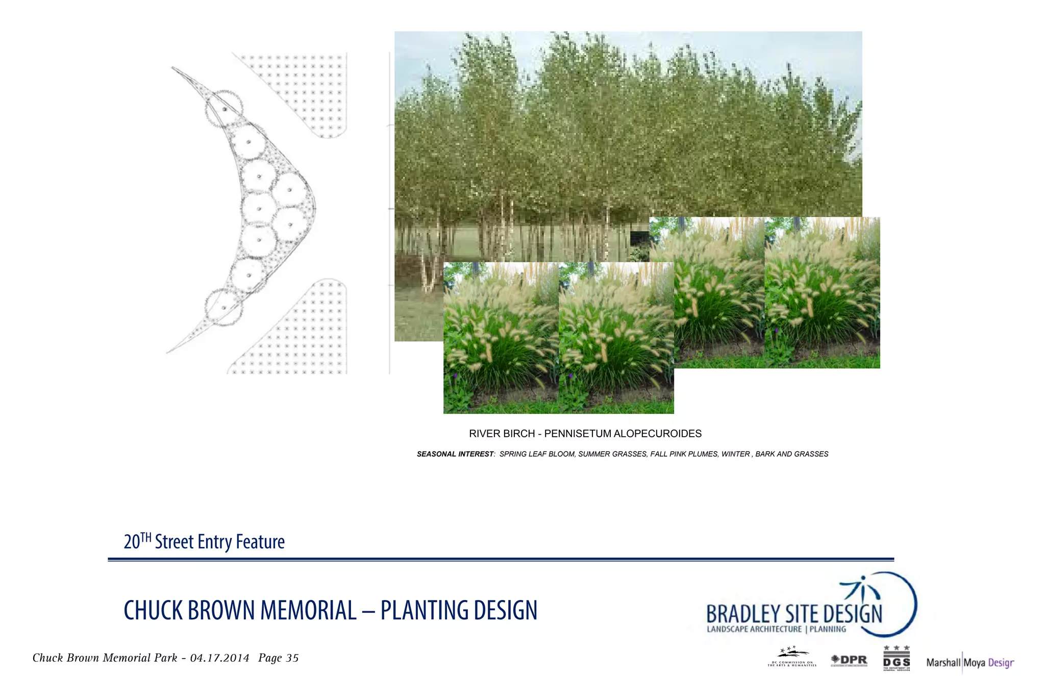 Chuck Brown Memorial Park - 04.17.2014 Page 35
CHUCK BROWN MEMORIAL – PLANTING DESIGN
20TH Street Entry Feature
RIVER BIRCH- PInK muHlY GRassEs
SEASONAL INTEREST: SPRING LEAF BLOOM, SUMMER GRASSES, FALL PINK PLUMES, WINTER , BARK AND GRASSES
RIVER BIRCH - Pennisetum alopecuroides
 