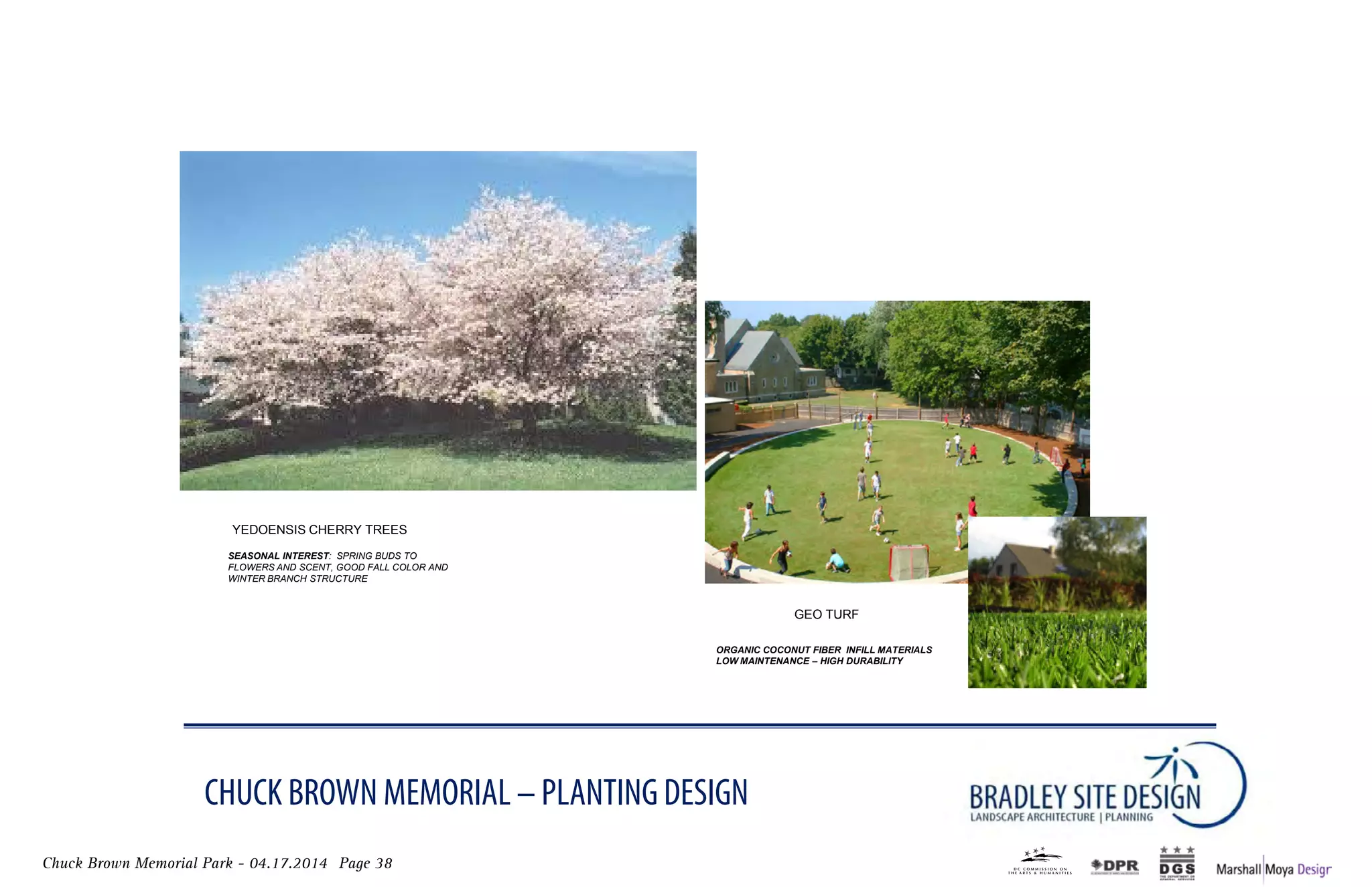Chuck Brown Memorial Park - 04.17.2014 Page 38
CHUCK BROWN MEMORIAL – PLANTING DESIGN
MEMORIAL PANEL ARCWALL
YEdoEnsIs CHERRY tREEs
SEASONAL INTEREST: SPRING BUDS TO
FLOWERS AND SCENT, GOOD FALL COLOR AND
WINTER BRANCH STRUCTURE
GEo tuRF
ORGANIC COCONUT FIBER INFILL MATERIALS
LOW MAINTENANCE – HIGH DURABILITY
CHUCK BROWN MEMORIAL – PLANTING DESIGN
PERIMETERS - ENCLOSURE
CHERRIEs - maGnolIas
SEASONAL INTEREST: SPRING BLOSSOMS, SUMMER STRUCTURE, GOOD
FALL COLOR (CHERRIES), WINTER EVERGREEN (MAGNOLIAS ) , SEED PODS
PROVIDE WILDLIFE FOOD SOURCE
 
