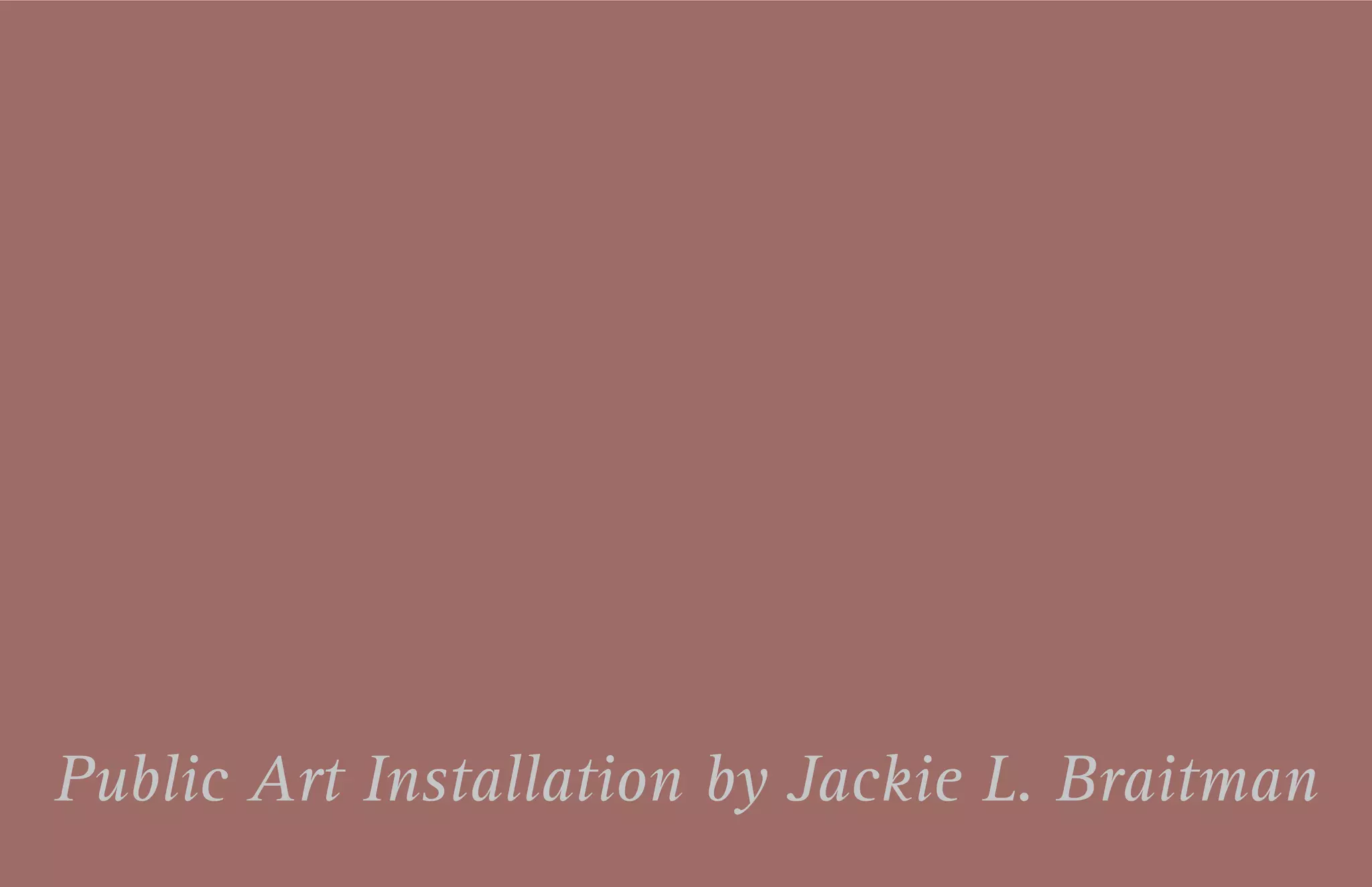 Chuck Brown Memorial Park - 04.17.2014 Page 42Chuck Brown Memorial Park - 01.30.2014
Public Art Installation by Jackie L. Braitman
 