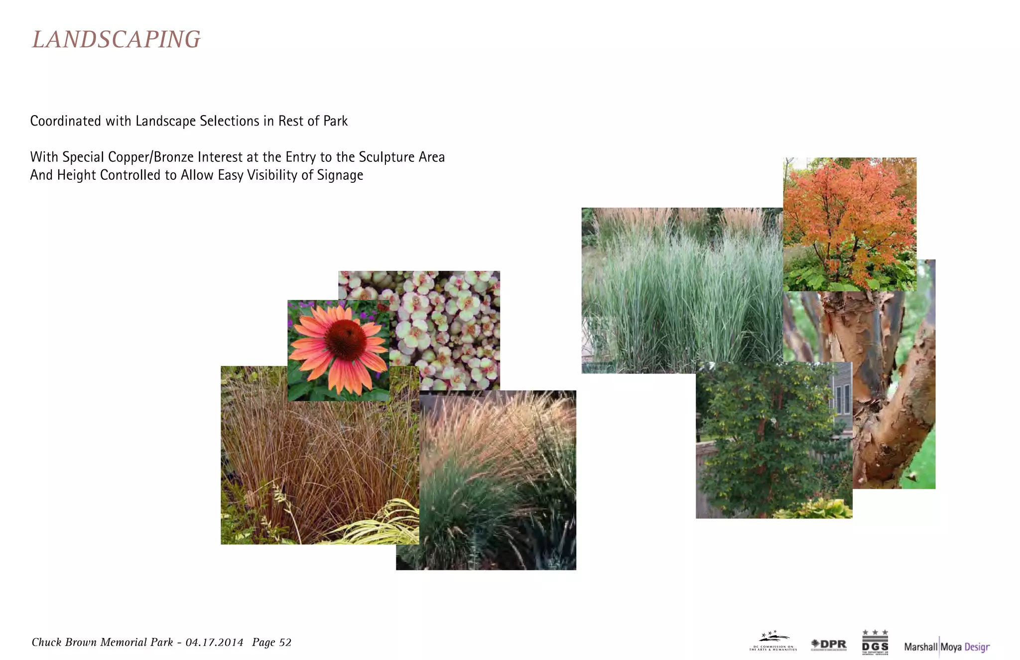 Chuck Brown Memorial Park - 04.17.2014 Page 52
Landscaping
Coordinated with Landscape Selections in Rest of Park
With Special Copper/Bronze Interest at the Entry to the Sculpture Area
And Height Controlled to Allow Easy Visibility of Signage
 