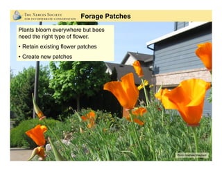 Photos: Matthew Shepherd; Berry Botanic Garde,n Mace Vaughan
Plant Selection:
•  Abundant pollen and nectar
•  Preferred b...