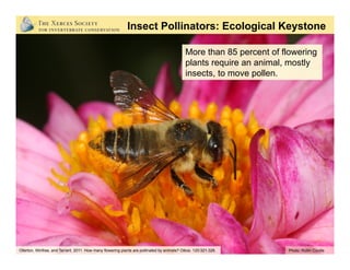 Benefits to Other
Wildlife:
•  Pollinator-produced
fruits and seeds
comprise 25% of bird
and mammal diets
•  Pollinators a...