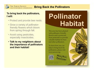 Get involved!
www.bringbackthepollinators.org
Bring Back the Pollinators
 