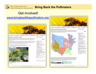• Xerces Society publications
Bring Back the Pollinators
 