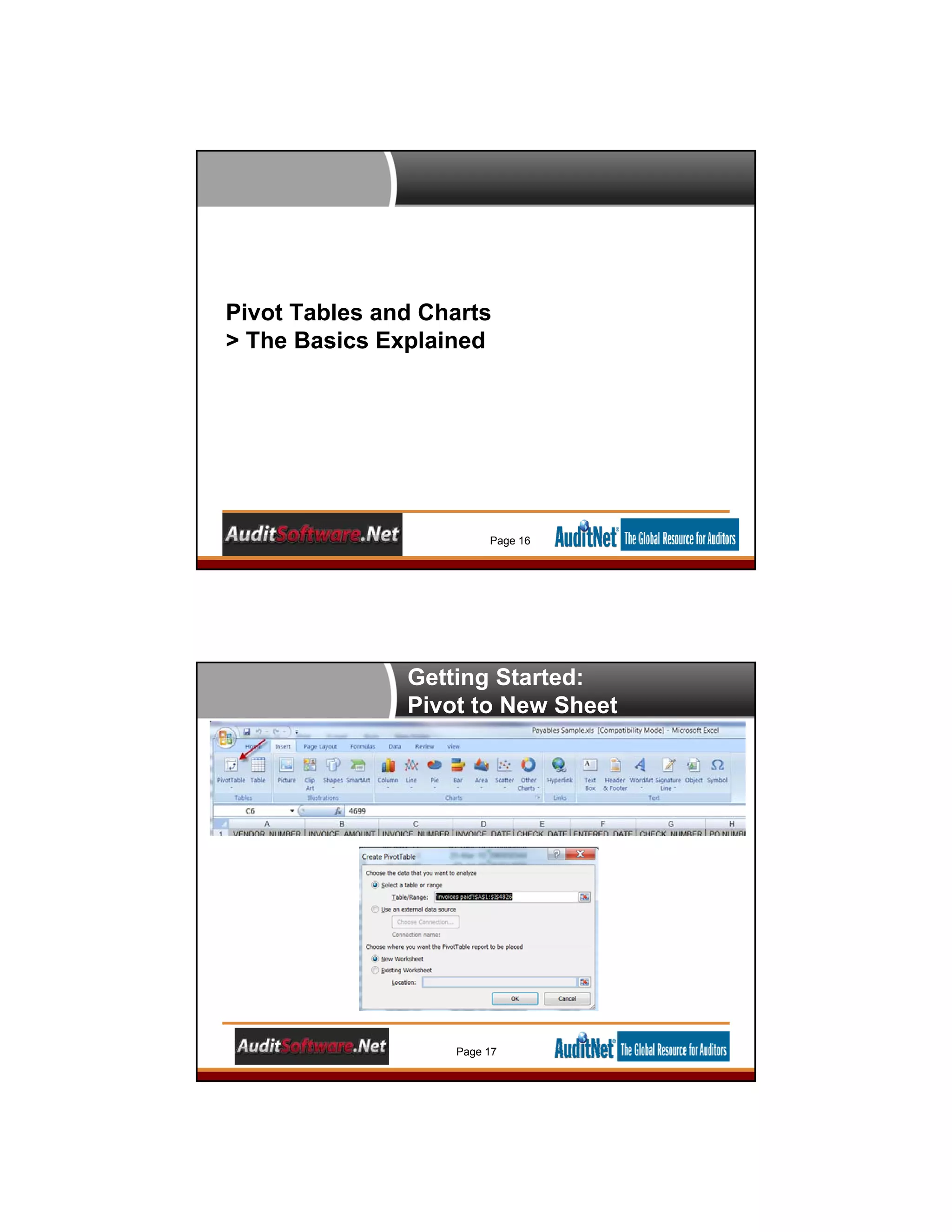 Pivot Tables and Charts
> The Basics Explained
Page 16
Getting Started:
Pivot to New Sheet
Page 17
 
