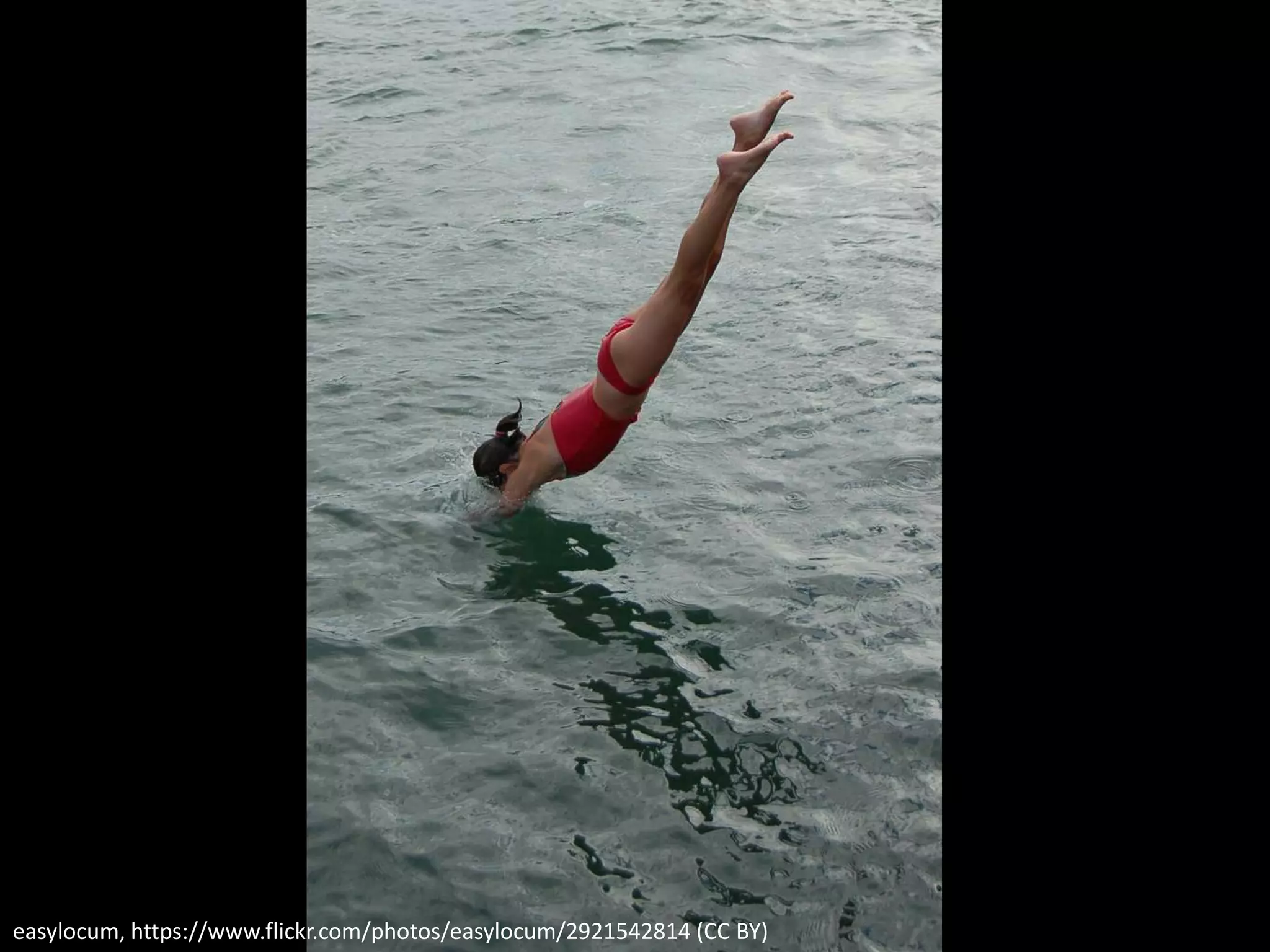 easylocum, https://www.flickr.com/photos/easylocum/2921542814 (CC BY)
 