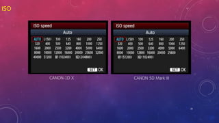 28
ISO
CANON-1D X CANON 5D Mark III
 