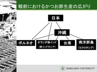 戦前におけるかつお節生産の広がり
日本
オランダ領インド
（現インドネシア）
ボルネオ 台湾 南洋群島
（ミクロネシア）
沖縄
 