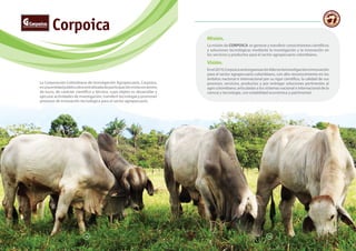 18 19
La Corporación Colombiana de Investigación Agropecuaria, Corpoica,
esunaentidadpúblicadescentralizadadeparticipaciónmixtasinánimo
de lucro, de carácter científico y técnico, cuyo objeto es desarrollar y
ejecutar actividades de investigación, transferir tecnología y promover
procesos de innovación tecnológica para el sector agropecuario.
Corpoica
Misión.
La misión de CORPOICA es generar y transferir conocimientos científicos
y soluciones tecnológicas mediante la investigación y la innovación en
los servicios y productos para el sector agropecuario colombiano.
Visión.
Enel2019,Corpoicaseráorganizaciónlíderenlainvestigacióneinnovación
para el sector agropecuario colombiano, con alto reconocimiento en los
ámbitos nacional e internacional por su rigor científico, la calidad de sus
procesos, servicios, productos y por entregar soluciones pertinentes al
agro colombiano, articuladas a los sistemas nacional e internacional de la
ciencia y tecnología, con estabilidad económica y patrimonial.
18 19
 