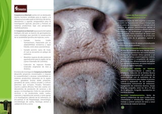 22 23
CorpoicaLaLibertadcuenta con un destacado
talento humano, privilegio para la región, y la
infraestructura adecuada en términos de tierras,
laboratorios y agenda programática para la
investigación agrícola, pecuaria y forestal en
sistemas productivos bajo una perspectiva
multidisciplinaria.
EnCorpoicaLaLibertadreposapartedelcapital
biológico del país en bancos de germoplasma,
como estrategia que permite la conservación
de la variabilidad genética de especies, como:
•	 Ganado bovino Criollo
Sanmartinero, importante por su
adaptabilidad, resistencia y vigor
híbrido, entre otras características.
•	 Ganado porcino casco de mula,
el cual se encuentra en peligro de
extinción.
•	 Marañón, especie de alto potencial
agroindustrial para la región de los
Llanos Orientales de Colombia.
•	 Colección de especies frutales
tropicales originarias de Asia y
América.
EneláreadeinvestigaciónCorpoicaLaLibertad
desarrolla proyectos encaminados a mejorar
la competitividad y alcanzar sostenibilidad en
sistemas productivos relevantes en la región
como: ganadería bovina doble propósito,
ganadería de carne, cultivos anuales y cultivos
perennes que incluyen, frutales, forestales,
caucho y palma africana. Para ello cuenta con
laboratorios de prestación de servicios y de
apoyo a la investigación. Entre los que prestan
servicios a los productores están: suelos,
nutrición y reproducción animal; y como apoyo
a la investigación, además de los anteriores, se
encuentran el de fitopatología, entomología,
microbiología de suelos, fisiología animal y
calidad de leche y carne.
Centro de Reproducción
Integral Animal“Cria”
Corpoica en el año de 2005 organiza y consolida
el Centro de Reproducción Integral Animal CRIA
en el centro de investigación La Libertad, con el
objetivo de generar conocimientos, apoyar el
desarrollo del talento humano y ofrecer servicios
tecnológicos en ecofisiología y reproducción
animal asistida, como estrategia de apoyo para
mejorar la eficiencia de sistemas de producción
de carne y leche de la ganadería regional y
nacional.
Dentro de los servicios de apoyo a la producción
considerados, se encuentran:
•	 Reproducciónasistidaenmachosbovinos:
Prueba de fertilidad de toros donde evalúa
el potencial reproductivo del macho bovino,
mediante un examen clínico general, y un
análisis del semen (espermograma). Colecta,
análisis, proceso y congelación de semen.
Igualmente hay almacenamiento de pajillas
con semen o embriones, así como marcación
y venta de pajillas marcadas.
•	 Reproducción asistida en hembras
bovinas: Superovulación y colecta de
embriones. Selección de la hembra Bovina
donadora, programación del protocolo de
superovulación con el suministro de los
fármacos necesarios para realizar el proceso,
colecta y evaluación de los embriones.
Transferencia transcervical de embriones.
Congelación de embriones bovinos. Sexaje
fetal por ecografía, entre los 58 y 70 días
de la gestación. Ecografía reproductiva en
hembras bovinas.
•	 Servicios complementarios. Venta de
semen y embriones de razas criollas puras
colombianas e introducidas. Alojamiento,
manejo y control sanitario de toros y vacas
donadoras de material Germinal.
23
 