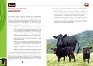 24 25
Estrategias de manejo reproductivo
integrado para mejorar la
productividad del hato.
El programa de manejo reproductivo integrado en un establecimiento
ganadero está orientado a obtener óptimos parámetros reproductivos,
buscando alcanzar una máxima eficiencia para garantizar el retorno
económico. La búsqueda de elevados índices de producción asociados
con una alta eficiencia reproductiva, deben ser las metas fijadas por los
productores para mejorar su productividad y un satisfactorio retorno
económico. Sin embargo, la reproducción en el trópico es muy sensible a
factores medioambientales de diferente índole:
•	 Climáticos: intensidad en la radiación solar asociada a altas
temperaturas que combinadas con altas humedades relativas
y baja disponibilidad de sombra, generan ambientes adversos
que comprometen el comportamiento reproductivo. En el
trópico bajo colombiano el problema de la variación climática
es una condición que involucra la temperatura y la humedad,
las cuales en ciertas épocas del año generan situaciones
adversas para la reproducción del macho y la hembra bovina.
•	 Nutricionales: las deficiencias nutricionales asociadas a las
épocas críticas (verano o inverno), contribuyen a la baja
expresión reproductiva.
•	 Sanitarios:enelmanejodelasenfermedadesdelareproducción
es cada vez más importante las que generan pérdidas por
alteraciones en el aparato reproductivo y aumento de la morbi-
mortalidad ocasionando detrimentos en el sistema.
•	 Genéticos: se refiere el uso de biotipos no adecuados a las
condiciones climáticas.
•	 Manejo: es importante considerar el manejo integrado de todos
los anteriores factores para mejorar la productividad del hato.
La baja eficiencia reproductiva observada en el bovino bajo las anteriores
circunstancias,semanifiestaprincipalmenteaniveldeperturbacionesdelos
procesos reproductivos como: prolongada edad a la pubertad, alteraciones
del ciclo menstrual (periodos de celo más cortos y/o silenciosos), alta
mortalidad embrionaria, bajas tasas de crecimiento fetal, alta incidencia de
enfermedades infectocontagiosas del tracto reproductivo y baja calidad
del semen.
En consecuencia, las estrategias de manejo reproductivo integrado del bovino,
comprende las siguientes acciones:
•	 Manejo de ambiente climático: para atenuar este efecto, es indudable que
la utilización de sombra natural es la más adecuada: Sin embargo, ante la
ausencia de éste, la polisombra al 80 %, puede ser una alternativa temporal.
Estrategia que debe ir acompañada de oferta de agua fresca y limpia.
•	 La utilización de dietas aniónicas y catiónicas (es decir, a base de algunos
componentes como: sodio, potasio, cloro y azufre, entre otros), contribuyen
con la remediación del efecto ocasionado por las altas temperaturas y pueden
ser utilizadas como estrategia para disminuir los días abiertos, cuando su
utilización se realiza antes y después del parto.
25
 