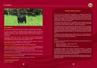 38 39
La Carolina
Manejo del Medio Ambiente
En el año 2010, la empresa ha diversificado su actividad incurriendo en
inversiones de reforestación bajo el establecimiento de 15 hectáreas en cultivo
hinchi – kahai, con el propósito de generar ingresos adicionales y paralelamente,
establecer un programa de división de potreros que a futuro sirvan como cercas
vivas, barreras rompe vientos para proteger las pasturas en época de sequía y
proporcionar sombra para la ganadería.
Un año después, en octubre de 2011, se establece cinco hectáreas de yopo para
comercializar un porcentaje con los asaderos de carne en la región, conservando
las áreas para la sombra implementadas en sistemas silvopastoriles.
A mediados del año 2013, la organización CIPAV, visita la empresa para aportar
una valiosa propuesta, mediante la introducción de botón de oro en 3 hectáreas
asociado con el cultivo de Kahai, complementado con siembra de semilla de pasto
tanzania ycomofuentede leguminozakudzuconelánimodecontarconunsistema
silvopastoril, proyecto que será evaluado con terneras destetas a partir de Junio de
2014.
La posesión de dos grandes fuentes hídricas que son los caños Mayuga y
Carnicerías es un factor determinante para las condiciones de los terrenos, son
aguas conservadas en las mejores condiciones.
Pastos:
La empresa tiene actualmente 96 potreros destinados a pastos tecnificados con
un área de 135 has, así:
•	 Brachiaria Dictyoneura – (pasto Llanero) 73%
•	 Brachiaria Humidicola - 7%
•	 Toledo, Tanzania, Mombaza y Kudzu tropical 20%
Es importante destacar que el mayor porcentaje destinado a la variedad
B. dictyneura, se debe a su rusticidad y resistencia en suelos pobres, con
persistencia en épocas de invierno y verano prolongados, característicos de los
Llanos Orientales. Por otra parte, la presencia de leguminosas nativas aumenta
cada año, por la ausencia en aplicación de herbicidas.
De acuerdo al área de cada potrero se da un periodo de descanso en pasturas: las
brachiarias, alrededor de los 32 días y para el caso de variedades mejoradas de
alto forraje, 25 días.
Plan sanitario:
De acuerdo a la etapa de desarrollo de los animales se implementa un protocolo:
Al recién nacido: curación de ombligo con yodo, verificar la toma de calostros,
suministro vitamina A y calcio, tatuaje de orejas, izquierda número del ternero y
derecha número de la vaca. Pesaje del ternero al nacer para así comenzar su
trazabilidad.
Terneros(as) mayores de 20 días hasta cumplir su destete: desparasitación
Fenbendazol (A los 20 días y cada 2 meses). Además aplicación de aminoácidos y
control del peso con el fin de evaluar la vaca lactante y su cría.
Vaca recién parida: se establece un control de parásitos internos a base de
albendazoles. La empresa no hace uso de ivermectinas.
Baños por aspersión: periódicamente, según el umbral de afectación.
Diagnóstico reproductivo de vacas paridas mayores a 1 mes: trimestralmente, se
realiza con asistencia de un MVZ, para programar nuevos lotes de vacías, aprovechar
al máximo los toros reproductores y evaluar índices reproductivos.
Vacunas Reproductivas: desde el año 2006, se implementa un plan de vacunación a
toros reproductores, vacas y novillas.
Vacunas de control oficial: semestralmente hay vacunación contra aftosa y brucelosis
RB-51 (hembras entre 3 y 8 meses de edad).
Otras vacunas: la triple bacteriana (carbones) a todos los animales.
Programa de alimentación:
Pastoreo rotacional
38 39
 