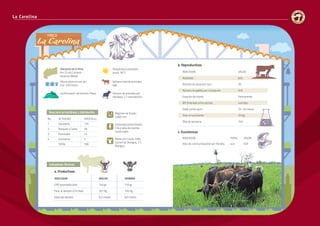 40 41
La Carolina
INDICADOR VALOR
Natalidad 82%
Número de vacas por toro 35
Número de pajillas por concepción N/A
Estación de monta Permanente
IEP (Intervalo entre partos) 440 días
Edad primer parto 33 -34 meses
Peso al nacimiento 25 Kg.
Días de lactancia 240
INDICADOR TOTAL VALOR
Kilos de carne producidos por Há/año. 424 N/A
Régimen de lluvias:
2.800 mm
Sistema(s) productivo(s):
Cría y ceba de novillas
comerciales.
Razas y/o cruces: Cebú
Comercial, Brangus, F1
Brangus.
Ubicación de la finca
Km 23 vía Cumaral –
Veracruz (Meta)
Temperatura promedio
anual: 28°C
Número total de animales:
480
Número de animales por
Hectárea: 2,7 animales/ha
Altura sobre el nivel del
mar: 250 msnm
Conformación del terreno: Plano
Área total en hectáreas y distribución:
Indicadores Técnicos:
a. Productivos
INDICADOR MACHO HEMBRA
GPD (promedio/año) 740 gr. 710 gr.
Peso al destete (210 días) 207 Kg. 195 Kg.
Edad del destete 8,2 meses 8,0 meses
b. Reproductivos
c. Económicos
No. ACTIVIDAD AREA (Ha.)
1 Ganadería 135
2 Bosques y Caños 30
3 Forestales 23
4 Carreteras 2
TOTAL 190
INDICADOR VALOR
Natalidad 82%
Número de vacas por toro 35
Número de pajillas por concepción N/A
Estación de monta Permanente
IEP (Intervalo entre partos) 440 días
Edad primer parto 33 -34 meses
Peso al nacimiento 25 Kg.
Días de lactancia 240
INDICADOR TOTAL VALOR
Kilos de carne producidos por Há/año. 424 N/A
Régimen de lluvias:
2.800 mm
Sistema(s) productivo(s):
Cría y ceba de novillas
comerciales.
Razas y/o cruces: Cebú
Comercial, Brangus, F1
Brangus.
Ubicación de la finca
Km 23 vía Cumaral –
Veracruz (Meta)
Temperatura promedio
anual: 28°C
Número total de animales:
480
Número de animales por
Hectárea: 2,7 animales/ha
Altura sobre el nivel del
mar: 250 msnm
Conformación del terreno: Plano
Área total en hectáreas y distribución:
Indicadores Técnicos:
a. Productivos
INDICADOR MACHO HEMBRA
GPD (promedio/año) 740 gr. 710 gr.
Peso al destete (210 días) 207 Kg. 195 Kg.
Edad del destete 8,2 meses 8,0 meses
b. Reproductivos
c. Económicos
No. ACTIVIDAD AREA (Ha.)
1 Ganadería 135
2 Bosques y Caños 30
3 Forestales 23
4 Carreteras 2
TOTAL 190
 