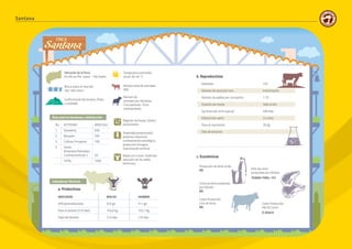 46 47
Natalidad 73%
Número de vacas por toro Inseminación
Número de pajillas por concepción 1.75
Estación de monta Todo el año
Iep (intervalo entre partos) 499 días
Edad primer parto 2.4 años
Peso al nacimiento 29 Kg.
Días de lactancia
No. ACTIVIDAD AREA (Ha.)
1 Ganadería 600
2 Bosques 250
3 Cultivos Forrajeros 100
4 Varios
(Viviendas/Ramadas/
Confinamiento,etc.) 50
TOTAL 1000
Régimen de lluvias: Grafico
pluviometria
Sistema(s) productivo(s):
pastoreo rotacional,
confinamiento estratégico,
producción forrajera,
inseminación artificial
Razas y/o cruces.: brahman,
asturiano de los valles,
bonsmara
Ubicación de la finca:
Km 66 via Pto. Lopez – Ptp.Gaitán
Temperatura promedio
anual: 30-40 °C
Número total de animales:
900
Número de
animales por Hectárea:
3 en pastoreo; 10 en
confinamiento
Altura sobre el nivel del
mar: 200 msnm
Conformación del terreno: Plano
y ondulado
Área total en hectáreas y distribución:
Indicadores Técnicos:
a. Productivos
INDICADOR MACHO HEMBRA
GPD (promedio/año) 523 gd 511 gd
Peso al destete (210 días) 163,6 Kg. 153,1 Kg.
Edad del destete 210 días 210 días
b. Reproductivos
c. Económicos
Producción de leche al día
NA
Litros de leche producida
por Há/año
NA
Costo Producción
Litro de leche
NA
Kilos de carne
producidos por Há/año.
70360k/700h= 101
Costo Producción
Kilo de Carne
$ 2046/k
Santana
Natalidad 73%
Número de vacas por toro Inseminación
Número de pajillas por concepción 1.75
Estación de monta Todo el año
Iep (intervalo entre partos) 499 días
Edad primer parto 2.4 años
Peso al nacimiento 29 Kg.
Días de lactancia
No. ACTIVIDAD AREA (Ha.)
1 Ganadería 600
2 Bosques 250
3 Cultivos Forrajeros 100
4 Varios
(Viviendas/Ramadas/
Confinamiento,etc.) 50
TOTAL 1000
Régimen de lluvias: Grafico
pluviometria
Sistema(s) productivo(s):
pastoreo rotacional,
confinamiento estratégico,
producción forrajera,
inseminación artificial
Razas y/o cruces.: brahman,
asturiano de los valles,
bonsmara
Ubicación de la finca:
Km 66 via Pto. Lopez – Ptp.Gaitán
Temperatura promedio
anual: 30-40 °C
Número total de animales:
900
Número de
animales por Hectárea:
3 en pastoreo; 10 en
confinamiento
Altura sobre el nivel del
mar: 200 msnm
Conformación del terreno: Plano
y ondulado
Área total en hectáreas y distribución:
Indicadores Técnicos:
a. Productivos
INDICADOR MACHO HEMBRA
GPD (promedio/año) 523 gd 511 gd
Peso al destete (210 días) 163,6 Kg. 153,1 Kg.
Edad del destete 210 días 210 días
b. Reproductivos
c. Económicos
Producción de leche al día
NA
Litros de leche producida
por Há/año
NA
Costo Producción
Litro de leche
NA
Kilos de carne
producidos por Há/año.
70360k/700h= 101
Costo Producción
Kilo de Carne
$ 2046/k
 
