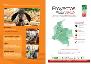 56 57
Bonanza
Plan sanitario:
Vacunación total, bilógicos.
Programa de alimentación:
Pastoreo rotacional y sales mineralizadas:
Manejo del medio ambiente
Preservación de aguas y bosques
con sus especies y manejo de aguas
servidas
Pastos:
Los pastos son básicamente
Brachiarias, dentro de las cuales se ha
manejado el Humidicola, Decumbens,
Dictyoneura, Baquipara y Brizantha.
Manejo de praderas:
El manejo de las praderas es rotacional
sin abonamientos y los potreros se
dividen con cerca eléctrica con un área
quefluctúa entrelas3 ylas6hectáreas.
56
C
A
 