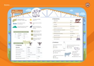 58 59
INDICADOR VALOR
Preñez 60%
Natalidad 68%
Fertilidad 60% en Vacas
Número de vacas por toro Inseminación
Número de pajillas por concepción 2
Estación de monta Todo año
IEP (Intervalo entre partos) 420-450 días
Edad primer parto 36 meses
Peso al nacimiento 30 Kg
Días de lactancia 286
No. ACTIVIDAD AREA (Ha.)
1 Ganadería 317
2 Otros 150
TOTAL 467
Régimen de lluvias: Nov.
A Marzo 3.000 mm
Sistema(s) productivo(s):
Ganadería integral doble
propósito
Razas y/o cruces: Gyr x
Simmental x Pardo x
Rubio
Ubicación de la finca:
San Nicolás- Cumaral -Meta
Temperatura promedio
anual: 27°C
Número total de animales:
650
Número de animales por
Hectárea: 2 en sequía y 3.5
en lluvias
Altura sobre el nivel del
mar: 300 msnm
Conformación del terreno: (plano,
ondulado, montañoso, etc.)
Área total en hectáreas y distribución:
Indicadores Técnicos:
a. Productivos
INDICADOR MACHO HEMBRA
GPD (promedio/año) 750 gr. 600 gr.
Peso al destete (210 días) 180 Kg. 160 Kg.
Edad del destete 210-270 días 210-270 días
Edad Sacrificio 30 meses 24-50 meses
Peso al sacrificio 450 Kg. 390 Kg.
Mortalidad hasta el sacrificio 2% 3%
b. Reproductivos
c. Económicos
Producción de leche al día
600 Lats.
$510000
Kilos de carne producidos por Ha/año.
600 Kg.(150 Has)
$2.100.000
$480.000 Para los
nacidos en finca
$600 Nacidos en finca
Costo Producción
Kilo de Carne
Litros de leche producida por Ha/año
2190 Lts.(100 Has)
$1861500
$500
$1.095.000
Costo Producción Litro de leche
Bonanza
INDICADOR VALOR
Preñez 60%
Natalidad 68%
Fertilidad 60% en Vacas
Número de vacas por toro Inseminación
Número de pajillas por concepción 2
Estación de monta Todo año
IEP (Intervalo entre partos) 420-450 días
Edad primer parto 36 meses
Peso al nacimiento 30 Kg
Días de lactancia 286
No. ACTIVIDAD AREA (Ha.)
1 Ganadería 317
2 Otros 150
TOTAL 467
Régimen de lluvias: Nov.
A Marzo 3.000 mm
Sistema(s) productivo(s):
Ganadería integral doble
propósito
Razas y/o cruces: Gyr x
Simmental x Pardo x
Rubio
Ubicación de la finca:
San Nicolás- Cumaral -Meta
Temperatura promedio
anual: 27°C
Número total de animales:
650
Número de animales por
Hectárea: 2 en sequía y 3.5
en lluvias
Altura sobre el nivel del
mar: 300 msnm
Conformación del terreno: (plano,
ondulado, montañoso, etc.)
Área total en hectáreas y distribución:
Indicadores Técnicos:
a. Productivos
INDICADOR MACHO HEMBRA
GPD (promedio/año) 750 gr. 600 gr.
Peso al destete (210 días) 180 Kg. 160 Kg.
Edad del destete 210-270 días 210-270 días
Edad Sacrificio 30 meses 24-50 meses
Peso al sacrificio 450 Kg. 390 Kg.
Mortalidad hasta el sacrificio 2% 3%
b. Reproductivos
c. Económicos
Producción de leche al día
600 Lats.
$510000
Kilos de carne producidos por Ha/año.
600 Kg.(150 Has)
$2.100.000
$480.000 Para los
nacidos en finca
$600 Nacidos en finca
Costo Producción
Kilo de Carne
Litros de leche producida por Ha/año
2190 Lts.(100 Has)
$1861500
$500
$1.095.000
Costo Producción Litro de leche
 