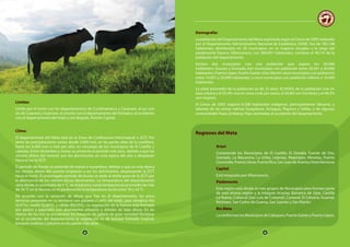 8 9
Limites:
Limita por el norte con los departamentos de Cundinamarca y Casanare; al sur con
los de Caquetá y Guaviare; al oriente con el departamento del Vichada y al occidente
con el departamento del Huila y con Bogotá, Distrito Capital.
Clima:
El departamento del Meta está en la Zona de Confluencia Intertropical o ZCIT. Por
tanto las precipitaciones varían desde 2.000 mm, en las partes altas de la cordillera,
hasta los 6.000 mm o más por año, en cercanías de los municipios de El Castillo y
Lejanías. Entre diciembre y marzo se presenta el período más seco, debido a que los
vientos alisios del noreste son los dominantes en esta época del año y desplazan
hacia el sur la ZCIT.
El período de lluvias se extiende de marzo a noviembre, debido a que en esta época
los vientos alisios del sureste empiezan a ser los dominantes, desplazando la ZCIT
hacia el norte. El prolongado período de lluvias se debe al doble paso de la ZCIT por
la alternancia de los vientos alisios dominantes. La temperatura del departamento
varía desde un promedio de 6 °C, en el páramo, hasta temperaturas promedio de más
de 24 °C en la llanura; en el piedemonte la temperatura oscila entre 18 y 24 °C.
De acuerdo con la variación de altura que hay en el departamento, los  pisos
térmicos presentes en su territorio son páramo (1,44% del total), piso climático frío
(4,47%), medio (5,06%), y cálido (89,03%). La vegetación de la llanura está formada
por pastos y pajonales con abundantes arbustos y árboles de baja altura. En las
riberas de los ríos se encuentran los bosques de galería de gran variedad florística;
en el occidente del departamento la vegetación es de bosque húmedo tropical,
bosques andinos y páramo en las partes más altas.
Demografía:
La población del Departamento del Meta registrada según el Censo de 2005 realizado
por el Departamento Administrativo Nacional de Estadística, DANE, fue de 783.168
habitantes, distribuidos en 29 municipios, en su mayoría situados a lo largo del
piedemonte llanero. Villavicencio, con 384.831 habitantes, contiene el 49,1% de la
población del departamento.
Existen dos municipios con una población que supera los 40.000
habitantes: Acacías y Granada; tres municipios con población entre 20.001 y 40.000
habitantes: Puerto López, Puerto Gaitán ySan Martín; doce municipios con población
entre 10.001 y 20.000 habitantes; y once municipios con población inferior a 10.000
habitantes.
La edad promedio de la población es de 23 años. El 64,6% de la población vive en
área urbana y el 35,4% vive en zona rural; por sexos, el 50,8% son hombres y el 49,2%
son mujeres.
El Censo de 2005 registró 8.398 habitantes  indígenas, principalmente  Sikuanis, y
además de las etnias nativas Guayabero, Achagua, Piapoco y Sáliba, y de algunas
comunidades Nasa, Emberay Pijao asentadas al occidente del departamento.
Regiones del Meta
Ariari
Comprende los Municipios de El Castillo, El Dorado, Fuente de Oro,
Granada, La Macarena, La Uribe, Lejanías, Mapiripan, Mesetas, Puerto
Concordia,PuertoLleras,PuertoRico,SanJuandeAramayVistaHermosa
Capital
Está integrado por Villavicencio.
Piedemonte
Esta región está divida en tres grupos de Municipios pero forman parte
de esta misma región y la integran Acacias, Barranca de Upia, Castilla
La Nueva, Cubarral (San Luis de Cubarral), Cumaral, El Calvario, Guamal,
Restrepo, San Carlos de Guaroa, San Juanito y San Martín.
Río Meta
La conforman los Municipios de Cabuyaro, Puerto Gaitán y Puerto López.
8 9
 