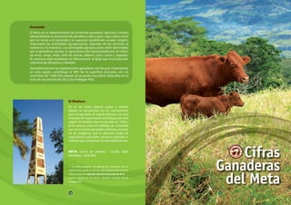 10 11
Economía
El Meta es un departamento de economía ganadera, agrícola y minera
(destacándose la extracción de petróleo crudo y gas), cuya cultura local
gira en torno a la hacienda y la vaquería. Igualmente ocupan renglón
importante las actividades agropecuarias, seguidas de los servicios, el
comercio y la industria. Las actividades agropecuarias están dominadas
por la ganadería vacuna, la agricultura está representada por el cultivo
de arroz, sorgo, maíz, caña de azúcar, plátano, yuca, cacao y algodón.
El comercio está localizado en Villavicencio al igual que la producción
industrial de alimentos y bebidas
Ganadería bovina: las explotaciones ganaderas son de gran importancia
en esta región, contribuye al 38% de la superficie pecuaria, con un
inventario de 1.638.504 cabezas de acuerdo a los datos obtenidos en el
ciclo de vacunación de 2012 por Fedegan-FNG.
El Obelisco:
En la vía entre puerto López y Puerto
Gaitán se encuentran en un monumento
que recoge todo el orgullo llanero y es una
muestra de importancia estratégica de esta
región. El obelisco fue construido en 1993 y
se le conoce como el ombligo de Colombia
por ser el centro geográfico del país, resume
en las imágenes que lo adornan todas las
expresiones culturales, recursos naturales e
historia que componen la identidad llanera.
META: censo de predios: 12.246, total
animales: 1.638.504 1
1. Los datos provienen del ejercicio de vacunación que se
realiza predio a predio en los dos ciclos programados en el año
Cifras tomadas del segundo ciclo de vacunación de 2012
Fuente: Subgerencia de Salud y Bienestar Sanidad Animal,
Fedegán-FNG
Cifras
Ganaderas
del Meta
10 11
 