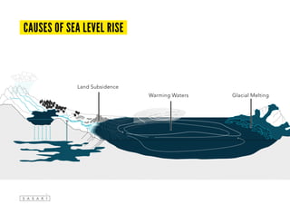 CAUSES OF SEA LEVEL RISE
Warming Waters Glacial Melting
Land Subsidence
 