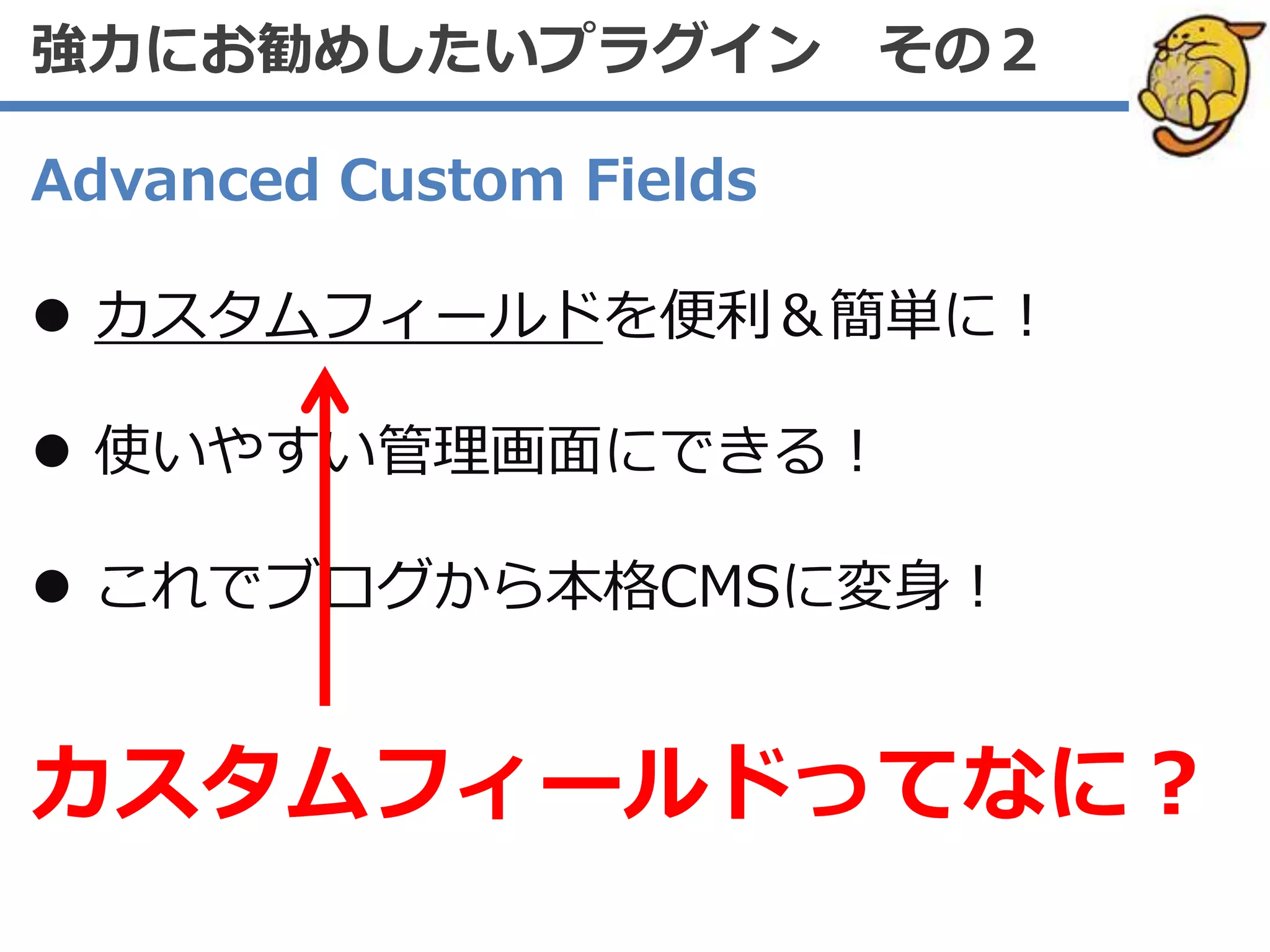 Advanced Custom Fields
 カスタムフィールドを便利＆簡単に！
 使いやすい管理画面にできる！
 これでブログから本格CMSに変身！
強力にお勧めしたいプラグイン その２
カスタムフィールドってなに？
 
