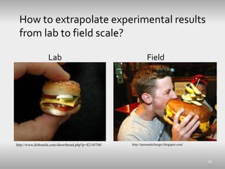 How to extrapolate experimental results
from lab to field scale?
29
Lab Field
http://automaticburger.blogspot.com/http://w...
