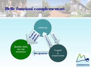 Delle funzioni complementari
Idee/pratiche
Fondi&
quadro
adattato
 