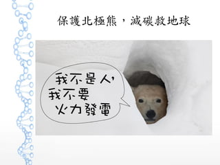 保護北極熊，減碳救地球
 