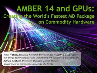 SAN DIEGO SUPERCOMPUTER CENTER
AMBER 14 and GPUs:
Creating the World's Fastest MD Package
on Commodity Hardware
Ross Walker, Associate Research Professor and NVIDIA CUDA Fellow 
San Diego Supercomputer and Department of Chemistry  Biochemistry	

Adrian Roitberg, Professor, Quantum Theory Project,
Department of Chemistry, University of Florida	

1	

 