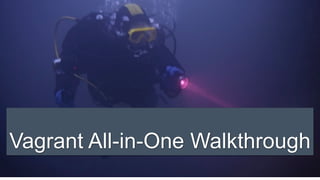 Vagrant All-in-One Walkthrough
 
