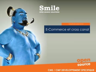 E-Commerce et cross canal
CMS / CMF DEVELOPPEMENT SPECIFIQUE
 