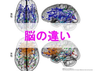 引用させていただきました
http://buzzap.jp/news/20131213-brain-difference-men-and-women/
脳の違い
女
性
男
性
 