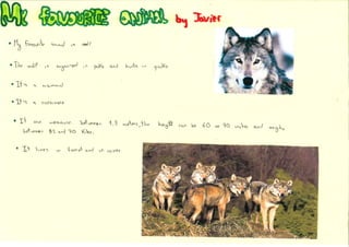 My favourite animal is... (2)