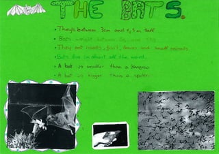 My favourite animal is... (2)