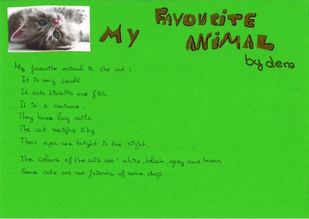 My favorite pet essay