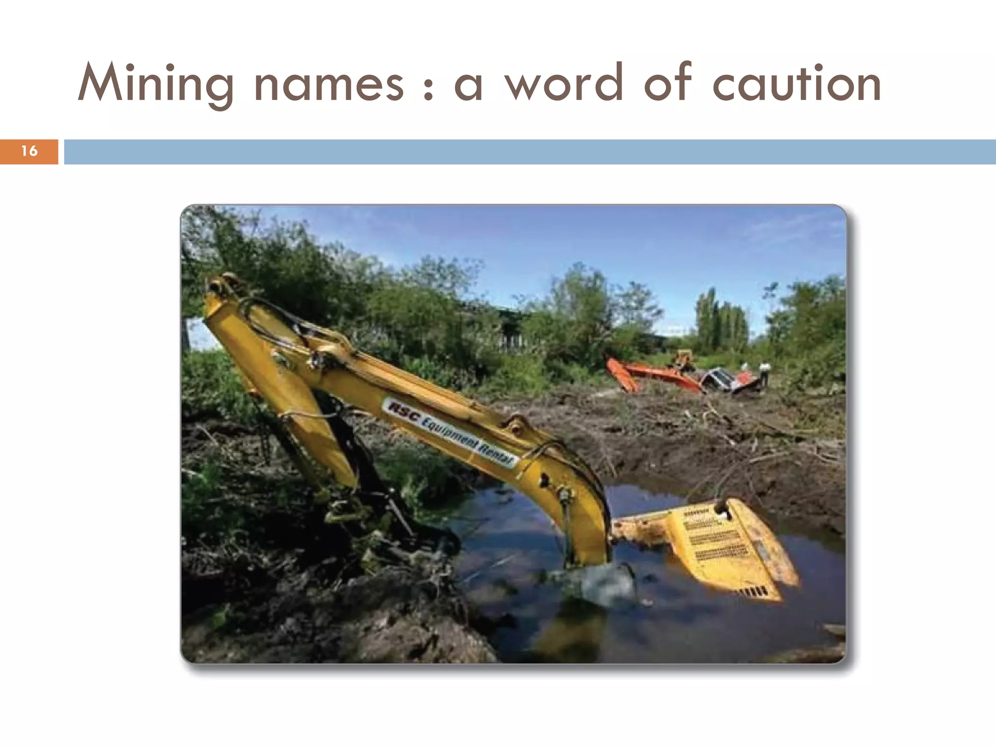 Mining names : a word of caution
16
 