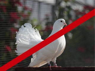 信頼できるディレクタ像
5.いい意味で細かい
6.クオリティチェックをきちんとしている
7.指示が的確
8.ある程度巻ける
 