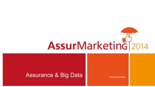 Assurance & Big Data Yannick Schmitz
 