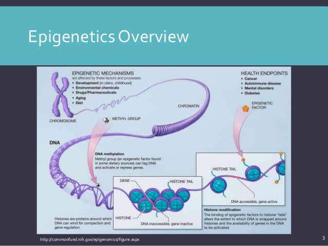 an analysis of the topic of the dna profiling 2 dna fingerprinting lab 1: genomic dna isolation & pcr part 1: dna isolation dna can be obtained from almost any tissue or biological fluid that is left at a. an analysis of the topic of the dna profiling 2 dna fingerprinting lab 1: genomic dna isolation & pcr part 1: dna isolation dna can be obtained from almost any tissue or biological fluid that is left at a.
