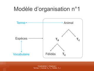Modèle d’organisation n°1 
Vocabulaires = { Espèces } 
Termes = { Animal, TB, TC, Félidés, TE } 
Espèces 
TB 
TC 
Animal 
TE 
Félidés 
Terme 
Vocabulaire  
