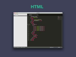 HTML
 