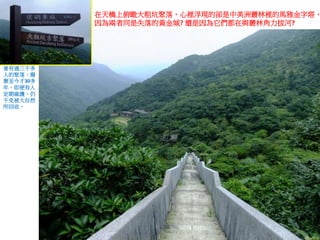在天橋上俯瞰大粗坑聚落，心裡浮現的卻是中美洲叢林裡的馬雅金字塔，
因為兩者同是失落的黃金城? 還是因為它們都在與叢林角力拔河?
曾有過三千多
人的聚落，廢
棄至今才30多
年，即便有人
定期維護，仍
不免被大自然
所回收。
 
